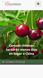 Mobile Screenshot of chilecerezas.cl
